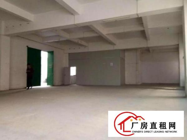 
		万江水蛇涌新出一楼750平方交通便利带装修的办公室
	