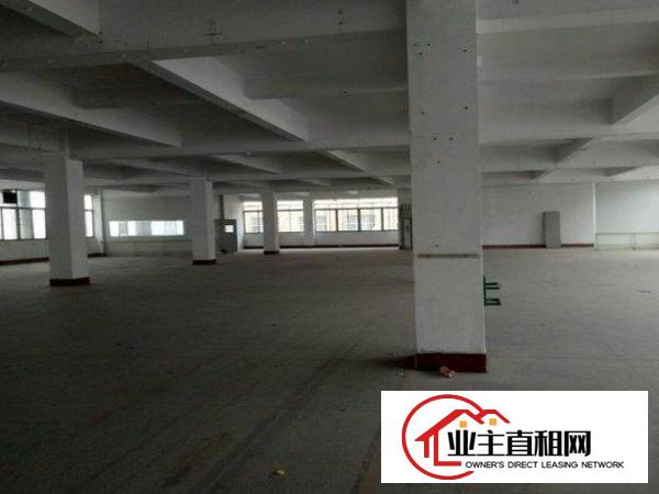 
		道滘镇二楼1400平厂房，带独立电梯及吊机窗口
	