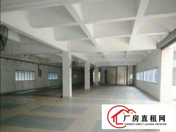 
		大罗沙一楼600平米，小面积抢租
	