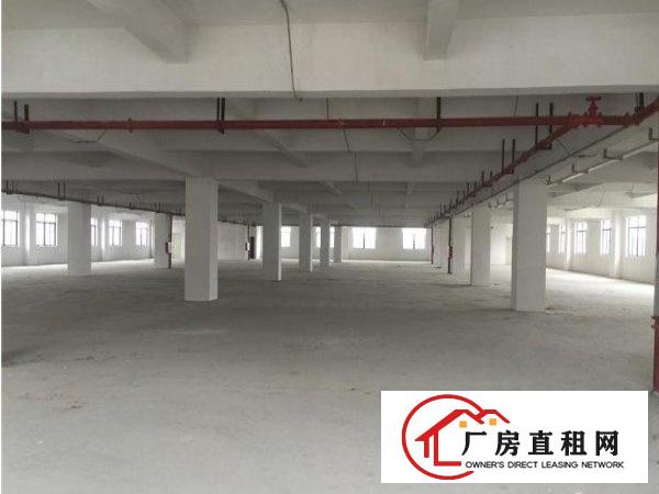 
		道滘道洪路标准厂房楼上面积1000方空地面积2000方
	