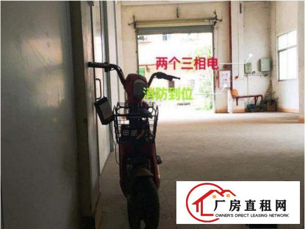 
		南丫独院1300平厂房良心价格，可小污染办环评
	