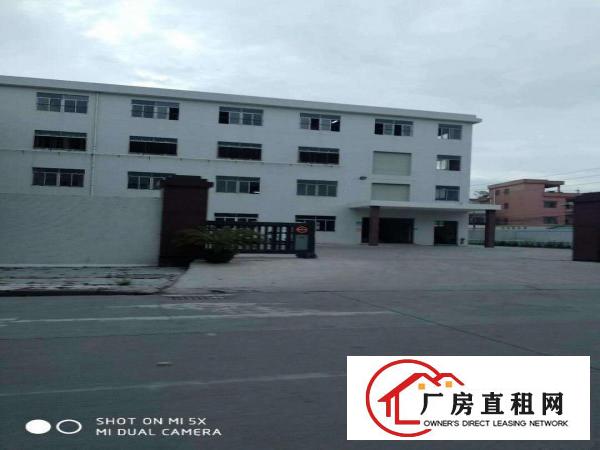 
		道滘独门独院带电梯楼房招租
	