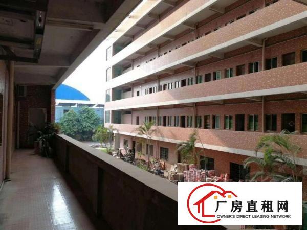 
		道滘大罗沙全新单一层厂房4000方出租
	