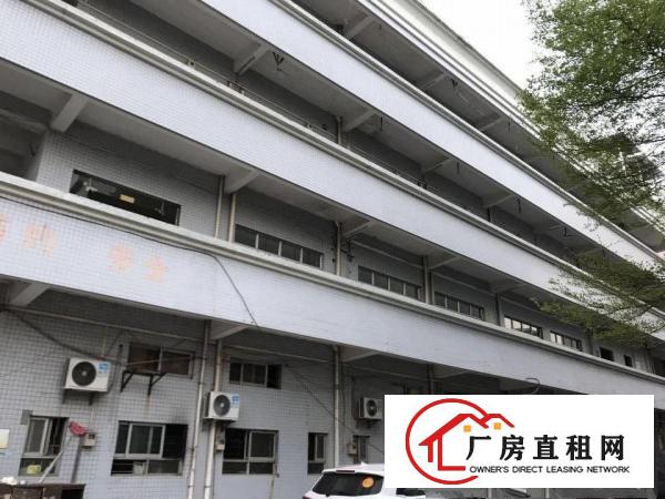 
		道滘独门独院厂房，4600方，宿舍2100方，电5
	