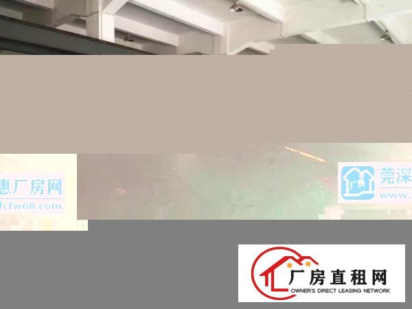 
		道滘大鱼沙现有1500平方米带消防、一楼厂房招租
	