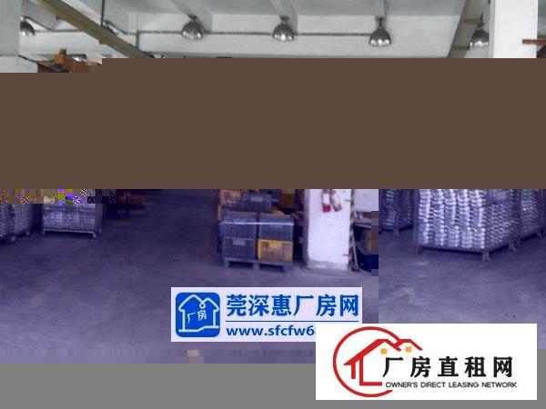 
		道滘大罗沙推出800平方米、一楼厂房招租
	
