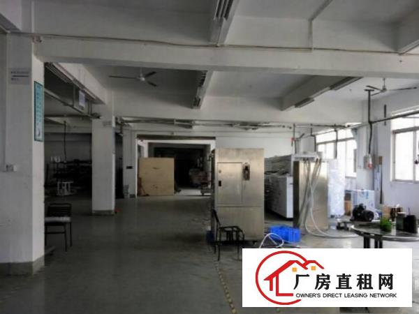 
		道滘闸口新推出1500平方米厂房招租
	