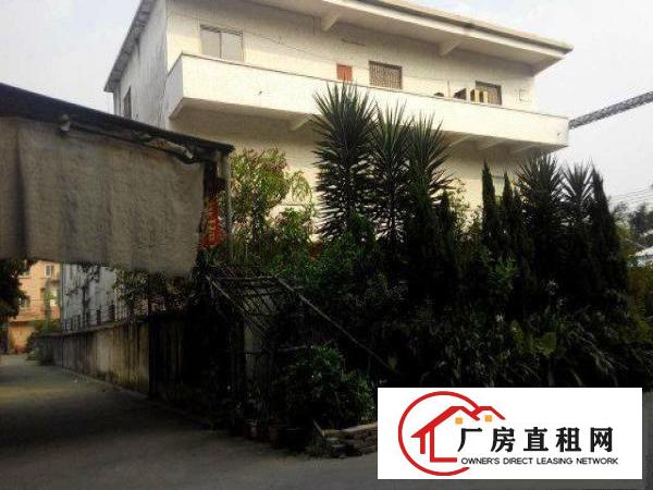 
		道滘独门独院2500平方两层厂房招租
	