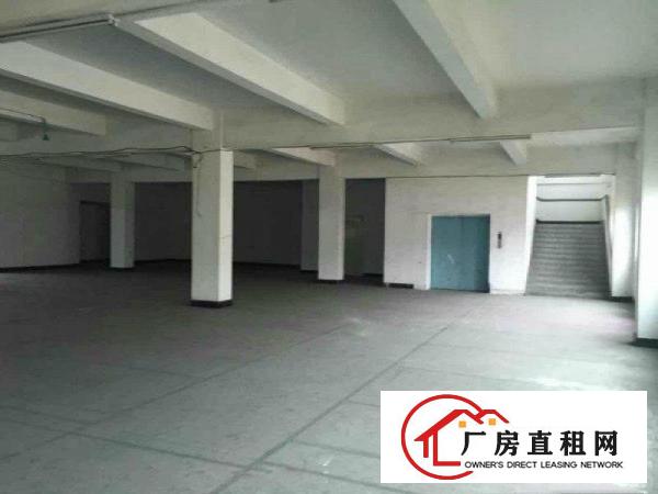 
		道滘独门独院2500平方两层厂房招租
	