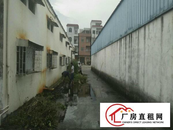 
		道滘蔡屋新出单一层独院厂房
	