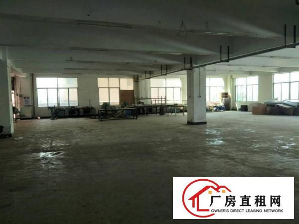 
		独门独院标准厂房十宿舍
	