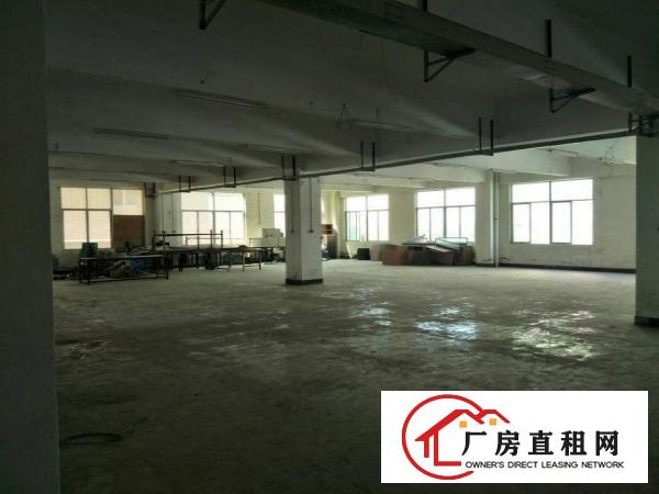 
		独门独院标准厂房十宿舍
	