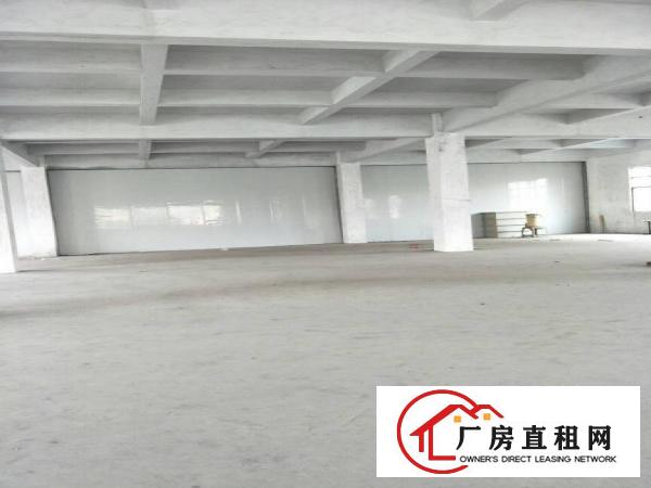 
		中堂东向新出原房东厂房2300平
	