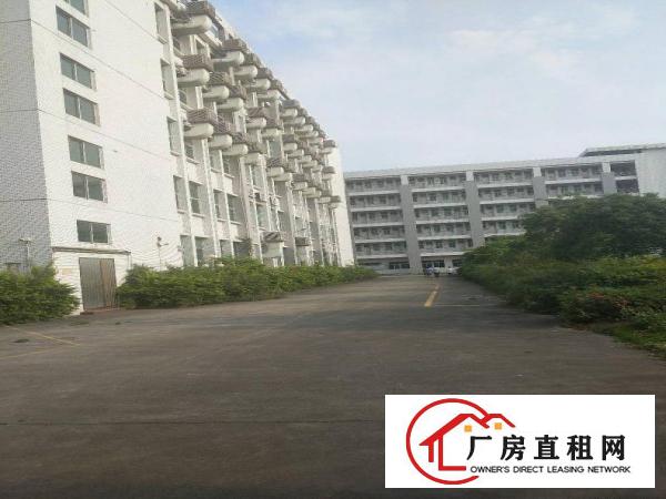 
		中堂镇独院标厂房5200平
	