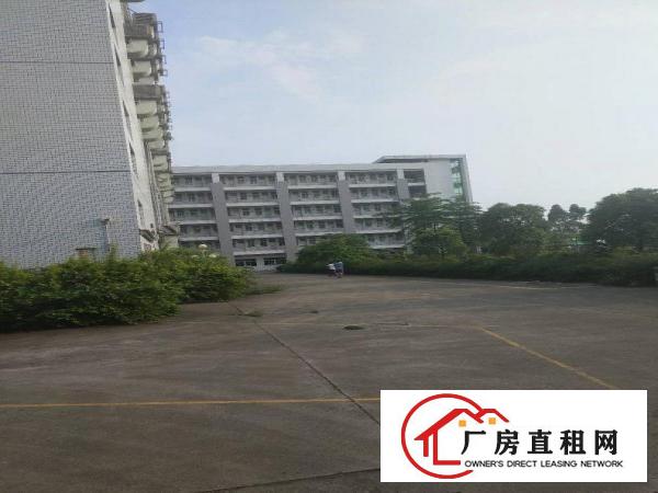 
		中堂镇独院标厂房5200平
	