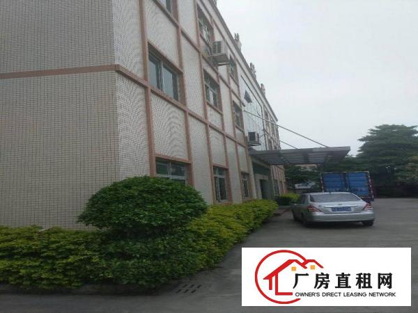 
		中堂镇独院全新四层楼5240平可明包
	