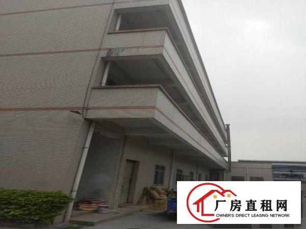 
		中堂镇独院全新四层楼5240平可明包
	