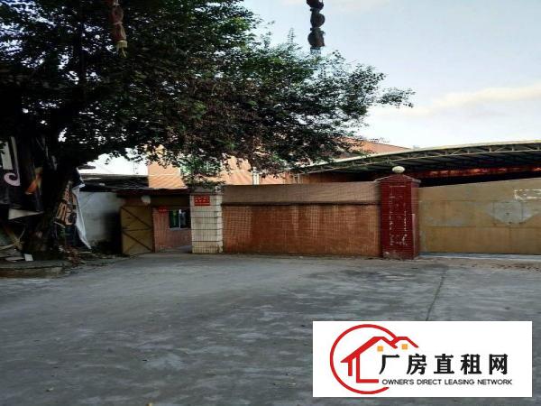
		中堂镇独院标准厂房3950平
	