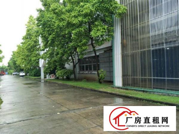 
		潢涌成熟工业区分租一楼1200平层高6米
	