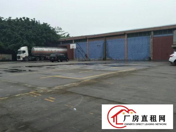 
		中堂蕉利新出全新厂房滴水9米9800平
	