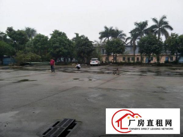 
		中堂蕉利新出全新厂房滴水9米9800平
	