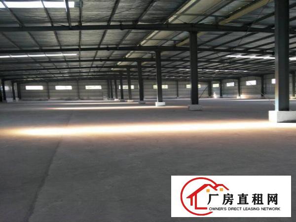 
		中堂蕉利新出全新厂房滴水9米9800平
	