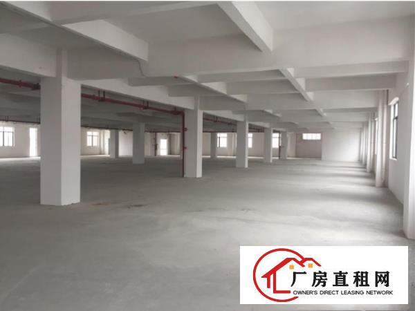 
		中堂马沥工业区路厂房楼上1000方，水电齐全
	
