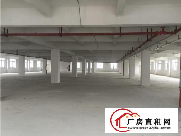 
		中堂马沥工业区路厂房楼上1000方，水电齐全
	