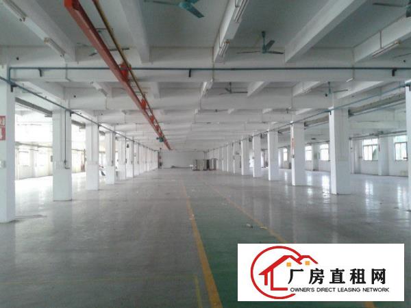 
		中堂东泊城路花园式独院厂房3000平米，可以分租
	
