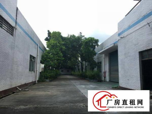 
		中堂原房东花园式单一层独院2500平厂房招租零公摊
	