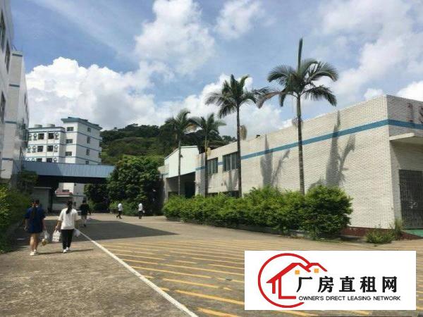 
		中堂原房东花园式单一层独院2500平厂房招租零公摊
	
