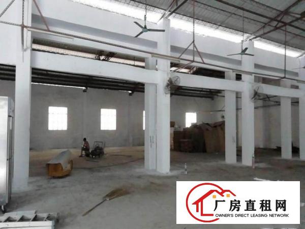 
		中堂单一层花园式独院厂房配宿舍全新
	