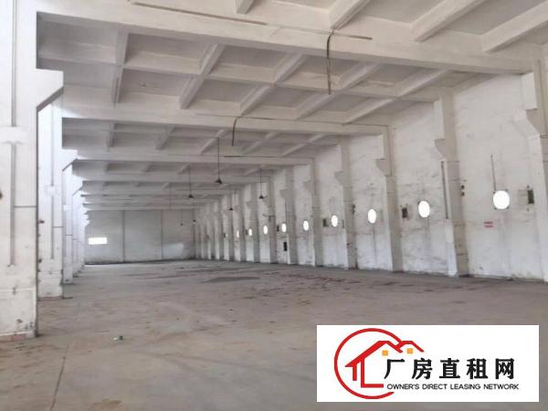 
		麻涌附近新出独门独院厂房
	