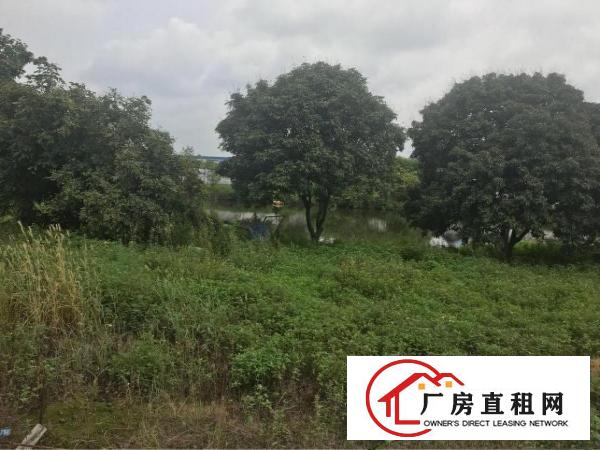 
		麻涌独门独院厂房面积60亩
	