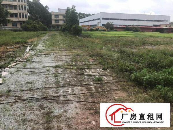 
		麻涌独门独院厂房面积60亩
	