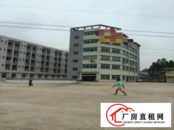 
		麻涌靠中堂23000方厂房出租2000方起才分租
	