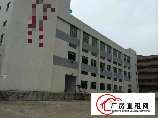 
		麻涌靠中堂23000方厂房出租2000方起才分租
	