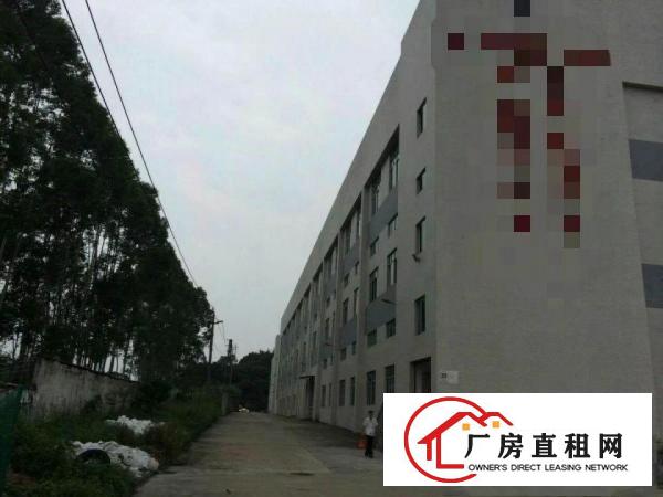 
		麻涌靠中堂23000方厂房出租2000方起才分租
	