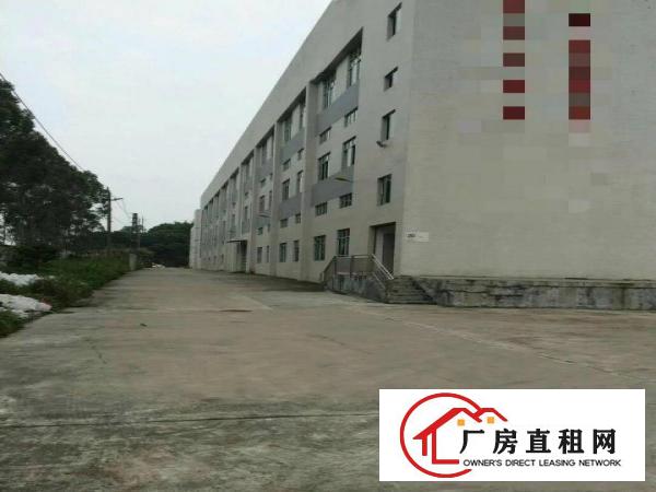 
		麻涌靠中堂23000方厂房出租2000方起才分租
	