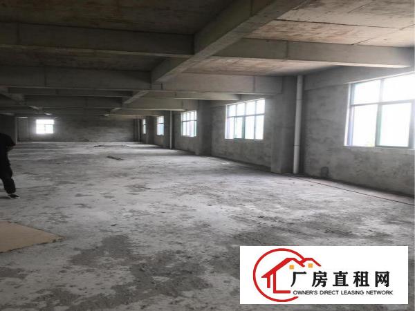 
		大步村新厂院独门独院
	