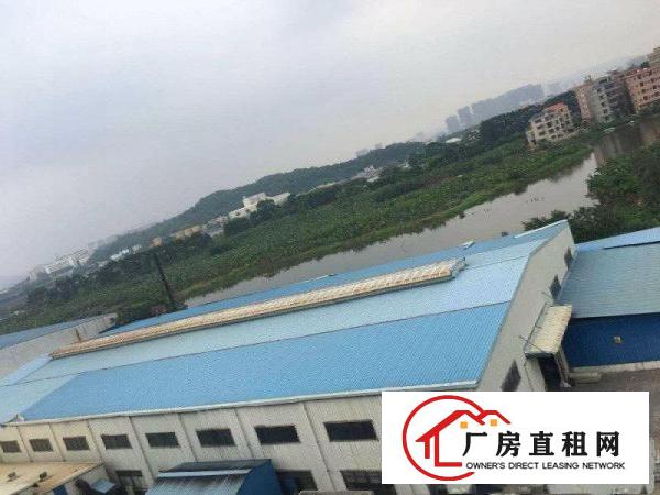 
		麻涌镇南洲大路边3000平方仓库出租，超大空地
	