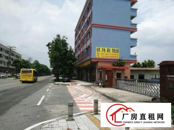 
		麻涌镇南洲大路边3000平方仓库出租，超大空地
	