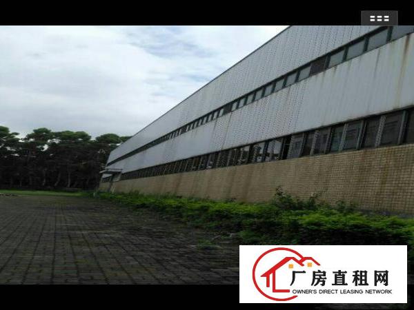 
		麻涌单一层厂房出租。
	