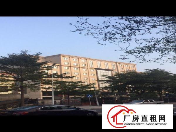 
		广深高速麻涌出口中麻大道厂房10800平米
	