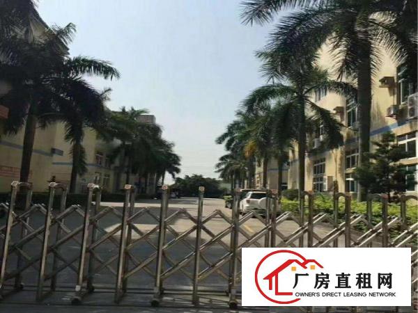 
		石岩外环路边低价1楼厂房2500平米可分租
	