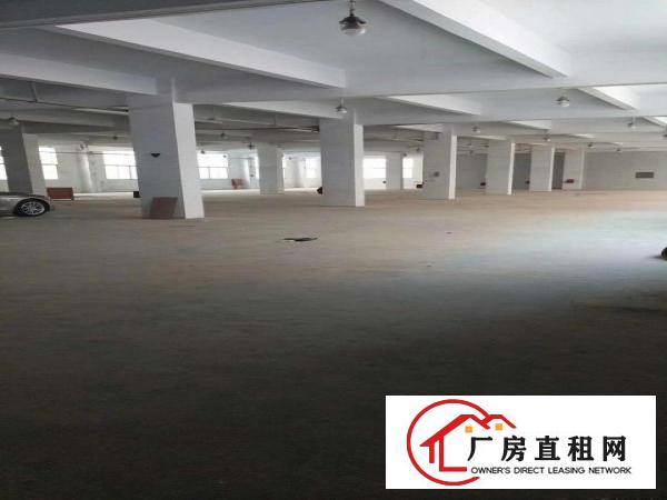 
		石岩外环路边低价1楼厂房2500平米可分租
	