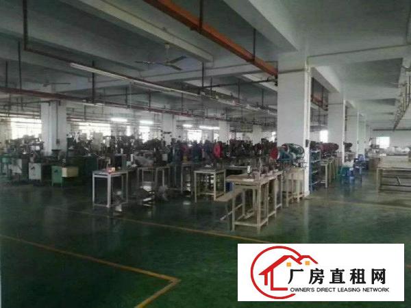 
		新盘龙华新区独院厂房18000平方原房东出租
	