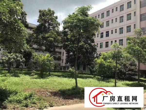 
		新盘龙华新区独院厂房18000平方原房东出租
	