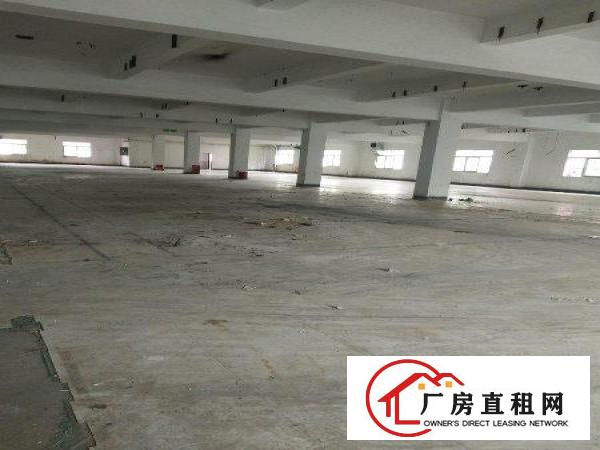 
		新盘龙华新区独院厂房18000平方原房东出租
	