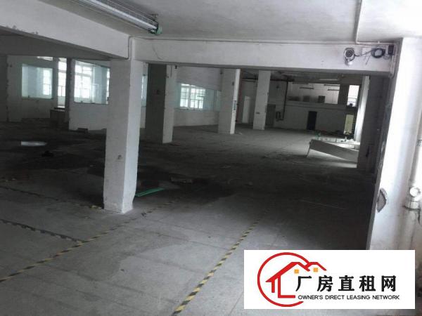 
		龙华新区民乐科技园一楼二楼隆重出租
	